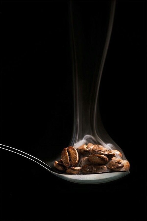 magpie-69:  submissive-seeking:  My idea of high fiber hot cereal …☕☕☕☕☕☕☕  Mmmmmmm ☕☕☕☕☕☕