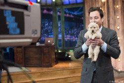 fallontonight:  that-fallon-guy:  Jimmy and Gary appreciation post!!! The man loves his dog! Can’t blame him! Gary is friggin’ adorable!!  Your day needs more puppies in it!  Puppies!  &ldquo;Oh, well these are cute but they can’t get any cuter.&rdquo;
