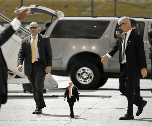 tastefullyoffensive: #TinyTrump is my new favorite meme.