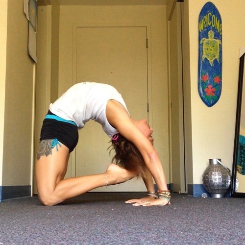 yogarian: little-yogi: Another break through! Yesterday was&hellip; yogarian: little-yogi: Anoth