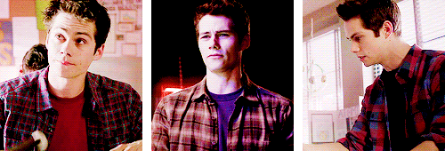 stiles + plaid (insp)