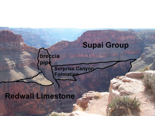 Surprise! It’s the Surprise Canyon Formation2 units ago we saw the Temple Butte formation; a unit th