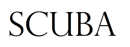 brainstatic:This is the English word I want to get tattooed on my wrist. It means “to keep breathing