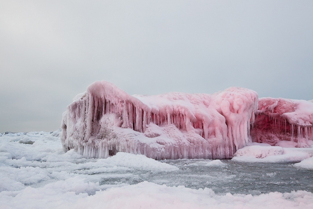 nevver:  Return to Magenta, Inka and Niclas