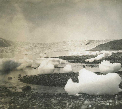 Muir Glacier, Alaska, 1913
C.L. Andrews :: Muir Glacier, Hoonah-Angoon, Alaska, 1913. | src C. L. Andrews photographs, 1880s-1948 ~ University of Oregon ~ Oregon Digital Libraries