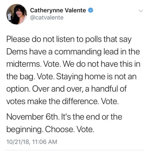 beejohnlocked: thefingerfuckingfemalefury: Do not just assume that the Democrats are going to win&he
