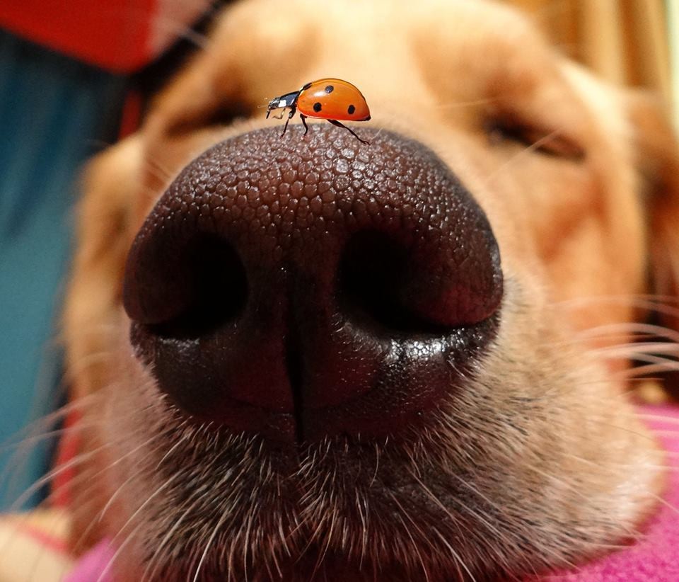 magicalnaturetour:  (via 500px / I dare you! by Trudy Gardner)