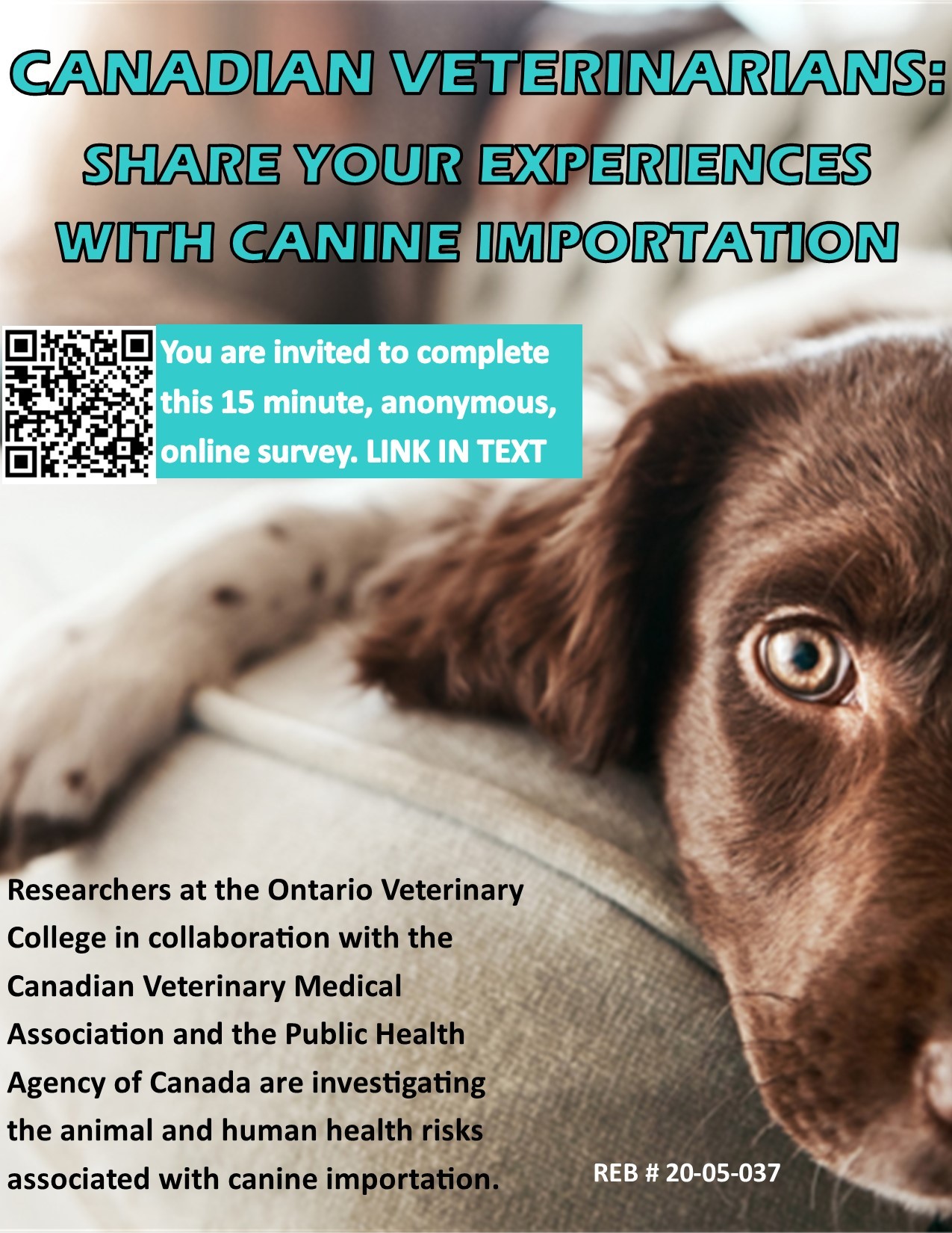 OVC Bulletin — Survey for Canadian veterinarians – Share your...