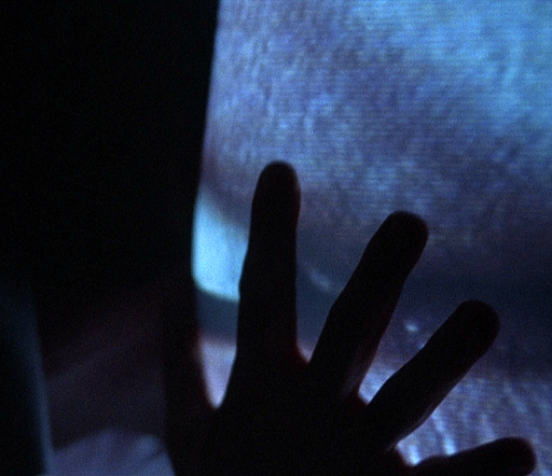 pierppasolini: Long live the new flesh.Videodrome (1983) // dir. David Cronenberg