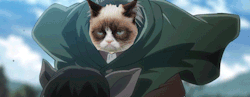 https://69.media.tumblr.com/c43207e458d110f802c94e36ba380372/tumblr_mt6lq9CaKH1s5rcozo1_500.gif