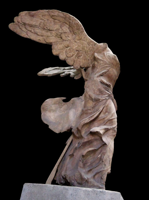 dwellerinthelibrary: The Winged Victory of Samothrace at the Louvre.