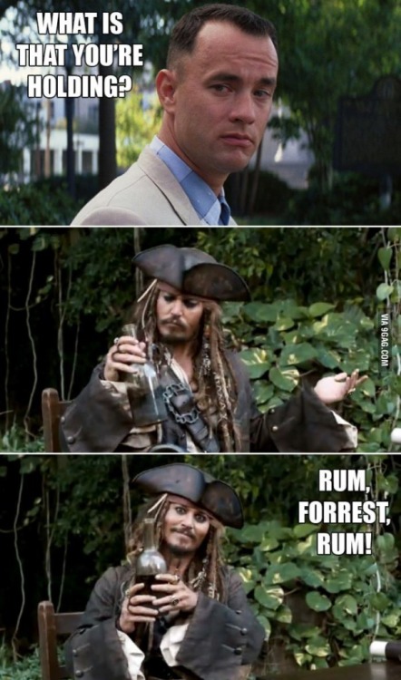 Porn photo donthatethegeek:  Rum Forrest Rum  LMAO