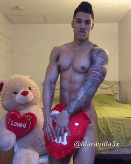 Shredded Gifs