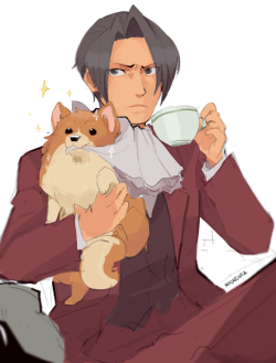 wonderfulworldofmoi:  watch out for the scary man with the tiny, fluffy pomeranian (Pess is a pomeranian!! I can’t believe!)