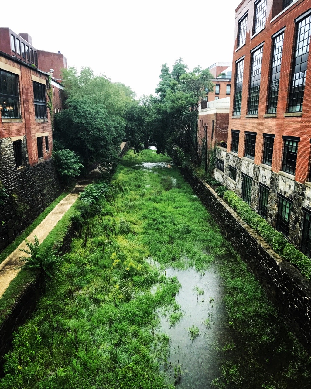 rumble-in-the-concrete-jungle:  Summer storm at the Georgetown Canal