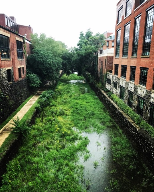 rumble-in-the-concrete-jungle:  Summer storm at the Georgetown Canal