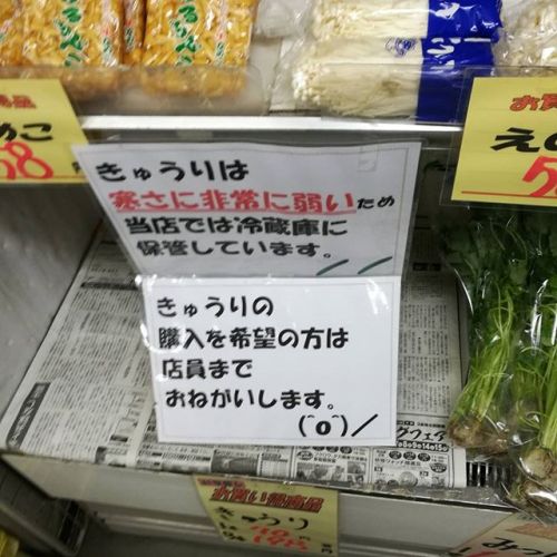 gearmann:  highlandvalley:  yamayoezokkuma:ええ… http://ift.tt/2BoxmPO  ん？  北国の店は冷蔵庫より寒い？