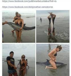 pirateking001:  Please share this in the hope these dickheads are found n punished for their stupidity, ignorance, Abuse, and cruelty   Keep sharing pls