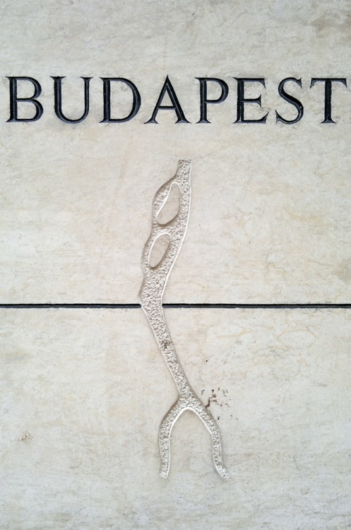 budapest #2