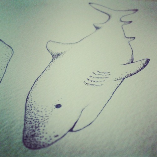 Having a whale of a time drawing marine loveliness.