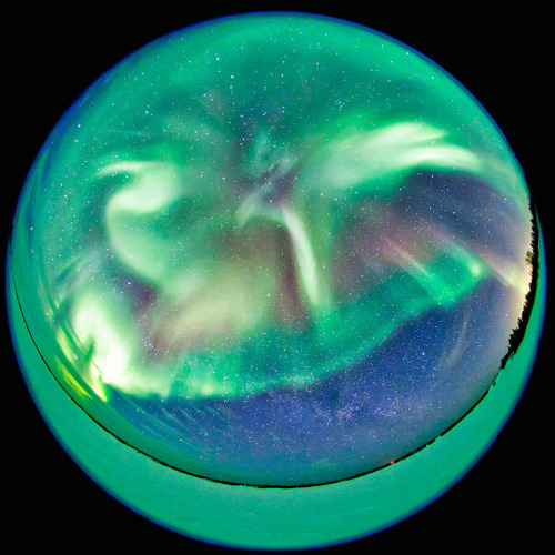 nubbsgalore:photos, with use of an an eight millimeter fisheye lens, by kwon o chul in yellowknife, 