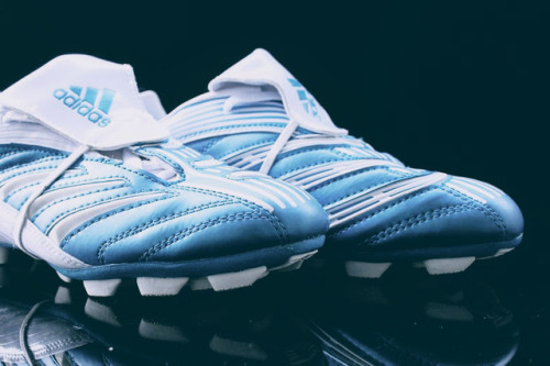 adidas predator absolute blue white