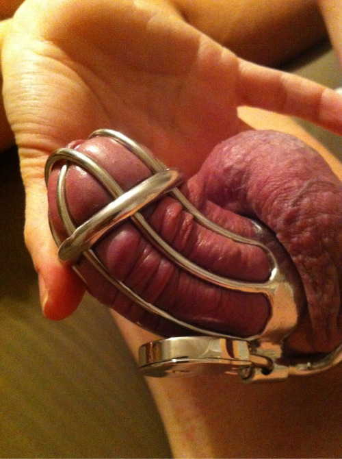 The-chastity-pages, an ode to male chastity