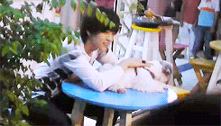 chaootic:  a duck with a dog (｡◕‿‿◕｡) 