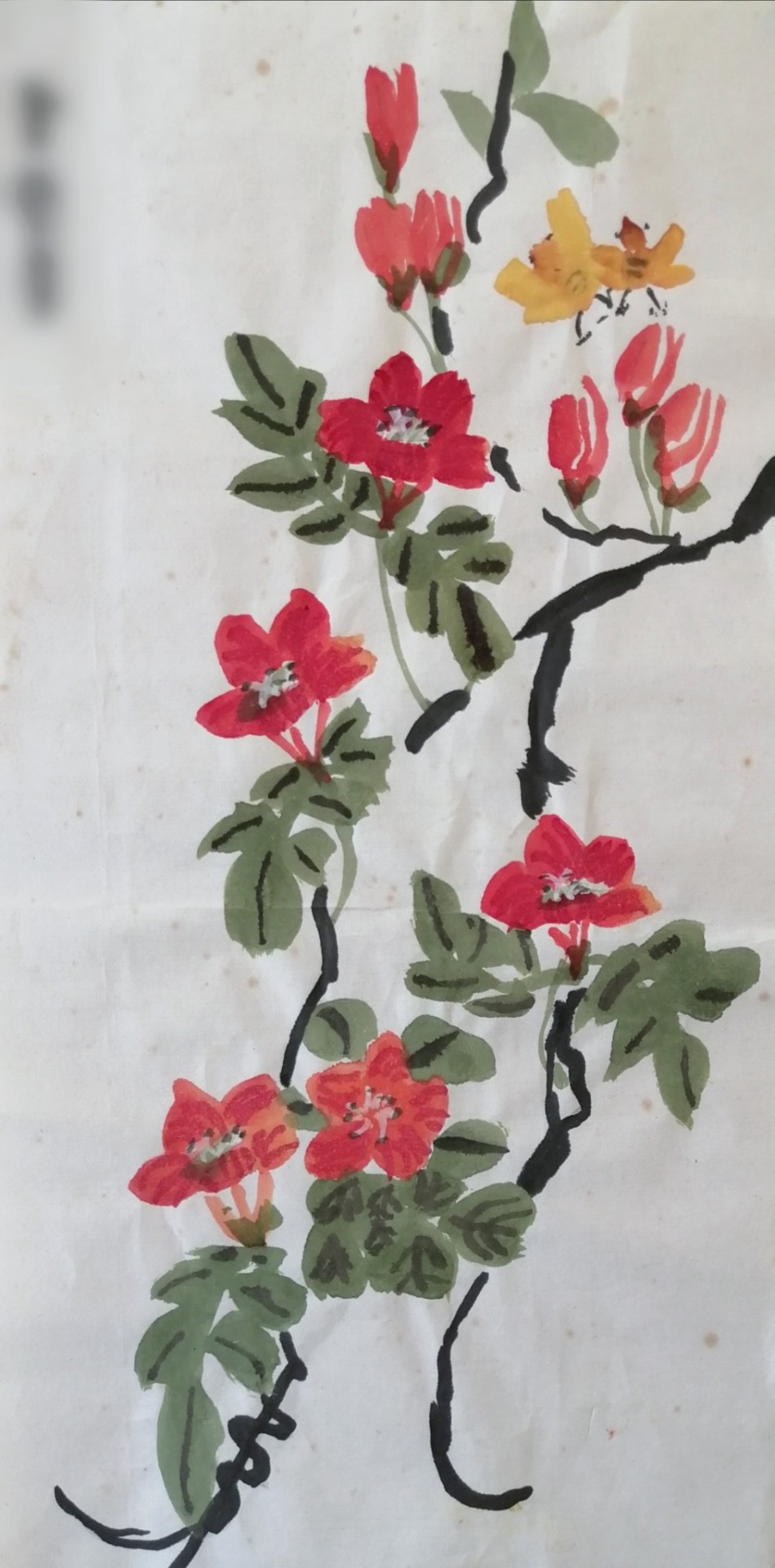 Floral