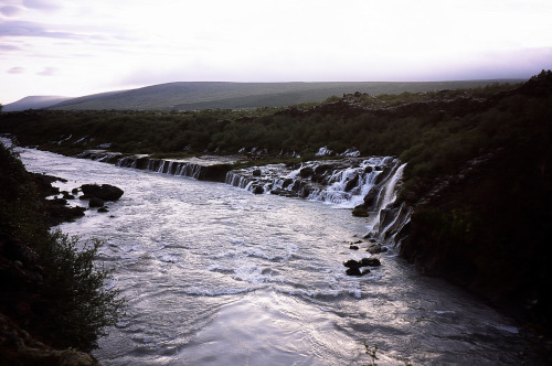 Between Hellnar and Borgarnes and Reykjavik.Provia 100F.July, 2016.