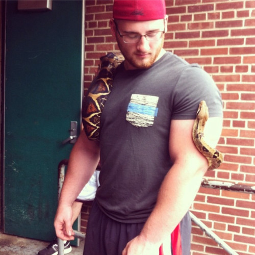 bookahplease:  britishmusclecub:  johnnybravolukas ask 🇬🇧💪🐻 British MuscleCub   Yes to the cutie, but HELL NO to the snake.