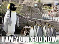 9gag:  I am your god now 