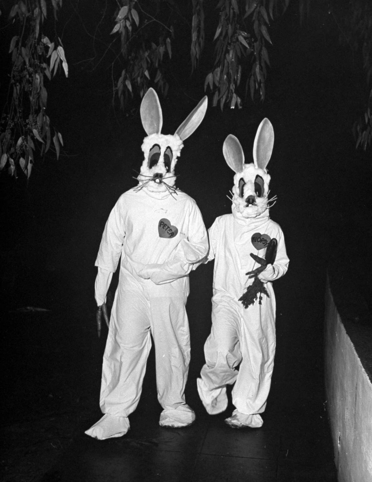 Peter Stackpole - Sigma Alpha Epsilon Circus party at the University of California,