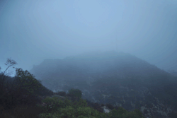 anthony-samaniego:  fog visioninstagram