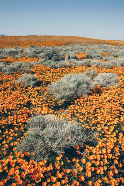 arrivalsandepartures:Antelope Valley, California, USA - by Mint Images