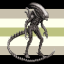 yourlocalxenomorph3