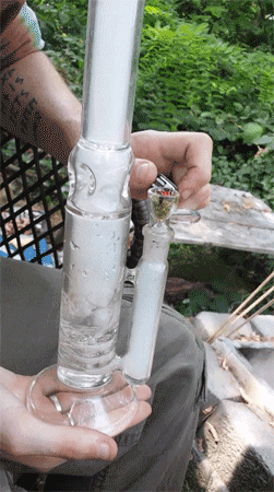 overidealism:  i like boys that take big bong rips  