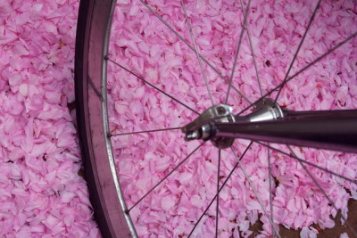 Nakameguro, Bike wheel, Tokyo , Japan
