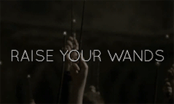jordynslefteyebrow: raise your wands for the fallen 