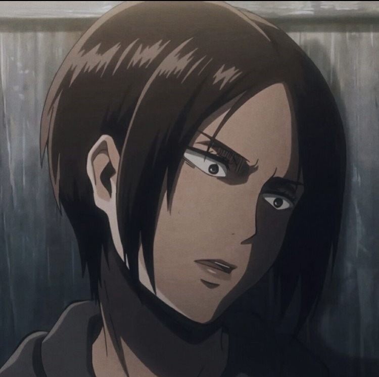 Falco Aot Pfp : Aot Perfect Shots On Twitter In 2021 | Ganrisna