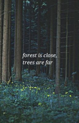 Forest is close, trees are far (on Wattpad) https://www.wattpad.com/story/259786715-forest-is-close-
