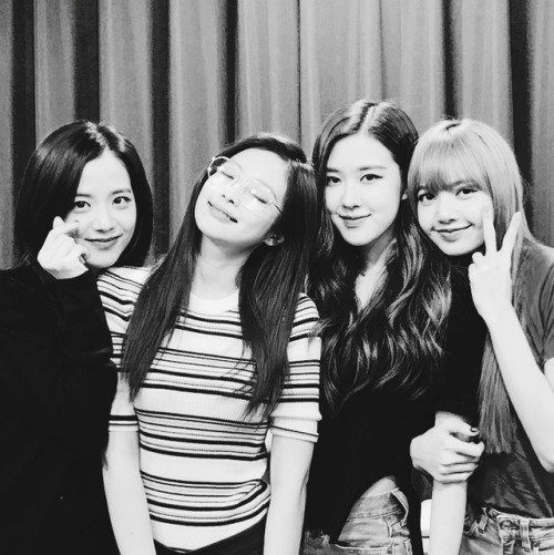 BLACKPINK OT4 Family icons ♡