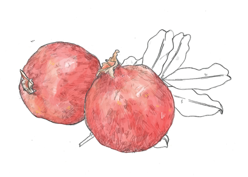 julykings: june fifth - fruit // went to the grocery store to take pictures of pomegranates&nbs