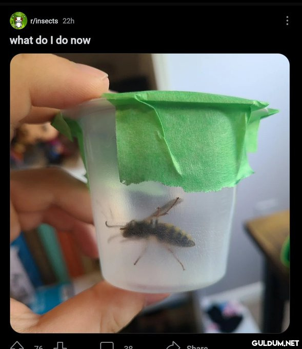 r/insects 22h what do I do...