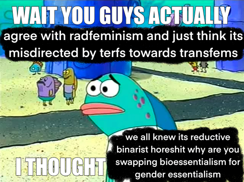 a screenshot from spongebob captioned with "wait you guys actually agree with radfeminism and just think its misderected by terfs towards transfems? i thought we all knew its reductive binarist horseshit why are you swapping bioessentialism for gender essentialism"