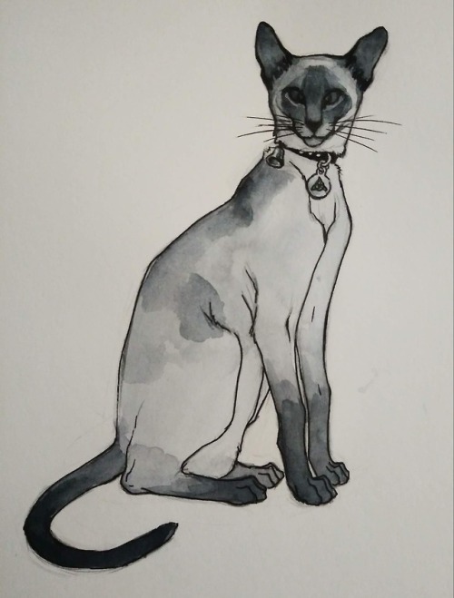  inktober day 3 - a catKit from Charmed