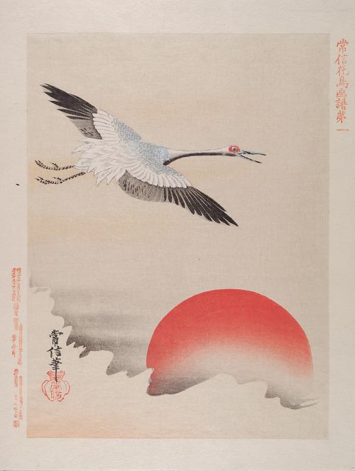 Birds and flowers after Kanō Tsunenobu,  (1636–1713). MKG…