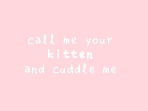 Kitten play