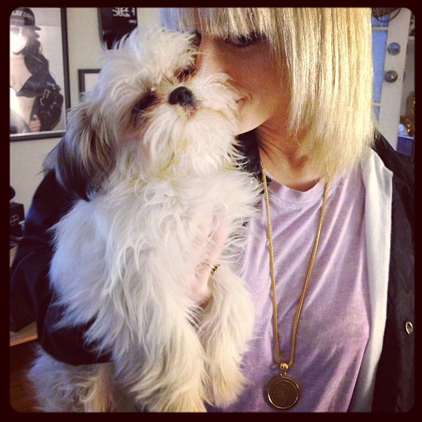 alysha:  I paid @dannysteezy and foto puppy a visit today.
