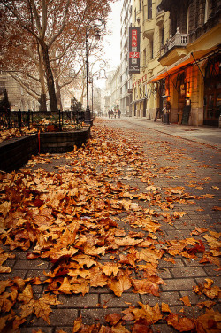 bluepueblo:  Fallen Leaves, Budapest, Hungary